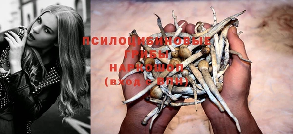 a pvp Кулебаки