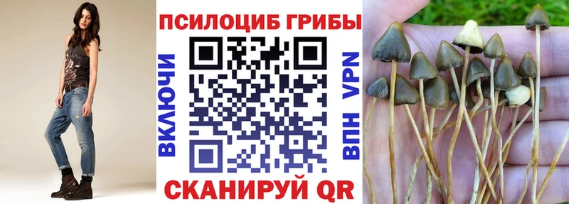 Купить закладки  Краснослободск  Галлюциногенные грибы Psilocybine cubensis 